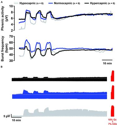 Baseline Arterial CO2 Pressure Regulates Acute Intermittent Hypoxia-Induced Phrenic Long-Term Facilitation in Rats